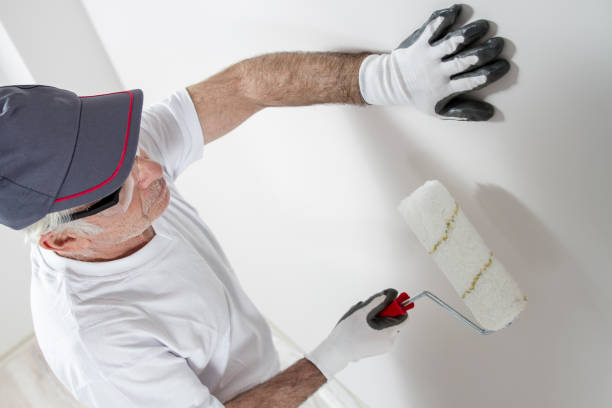 Best Mold Removal for HVAC Installations  in Manchaca, TX