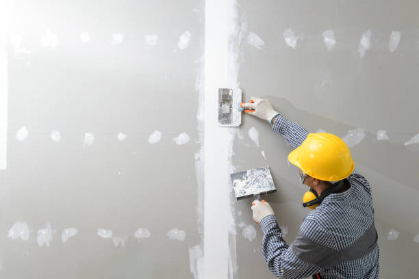 Best Asbestos and Lead Testing During Mold Inspection  in Manchaca, TX