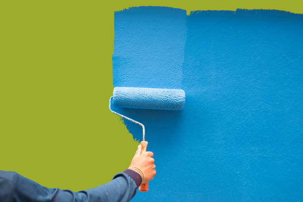 Best Mold Documentation for Insurance Claims  in Manchaca, TX